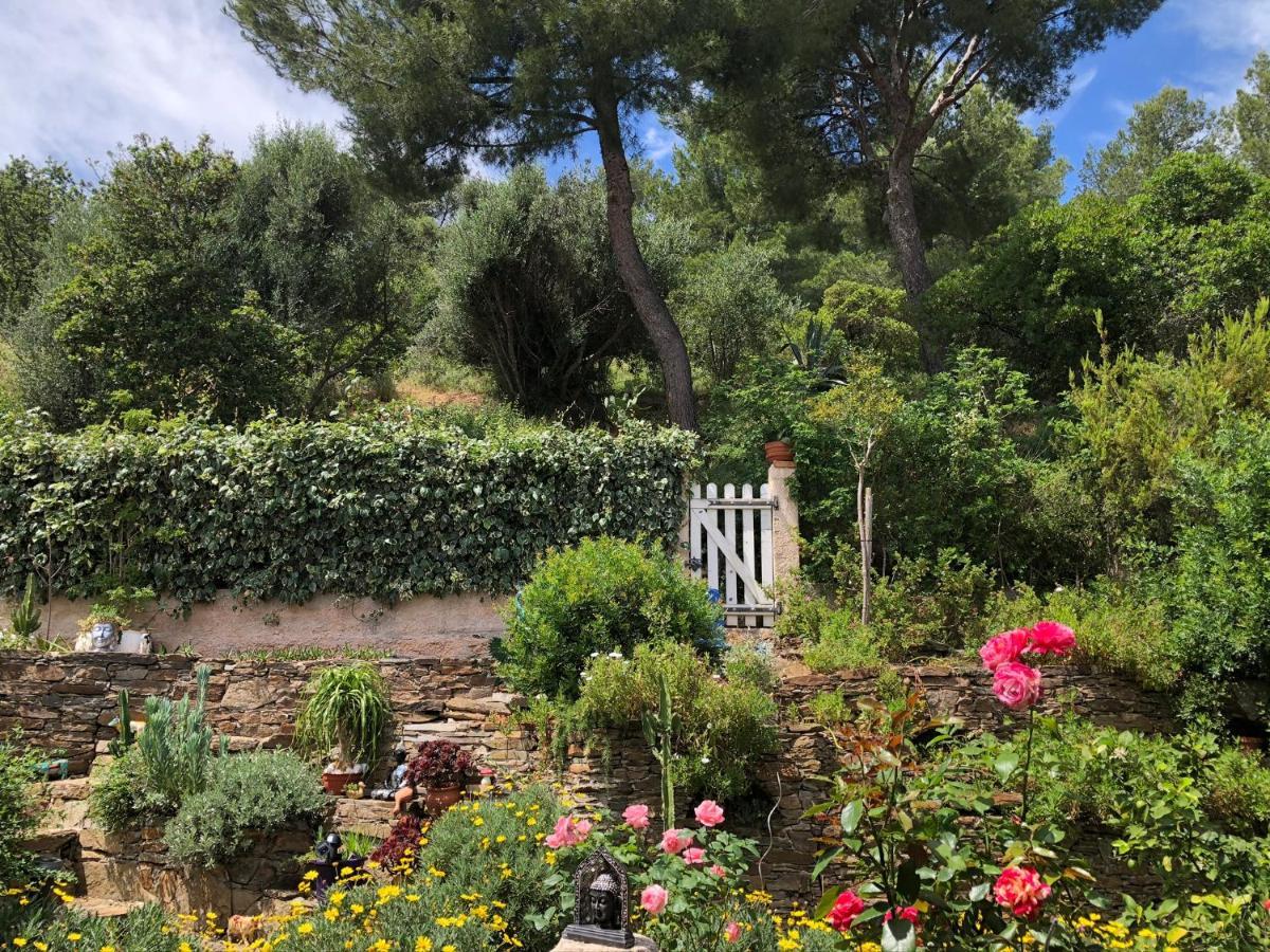 Logement Zen Sur La Colline Aux Mimosas Hyères Exterior foto